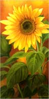 Sunflowers on Orange